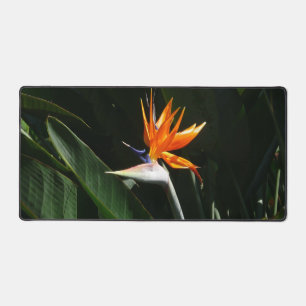 Der Vogel der tropischen Blume Orange Schreibtischunterlage