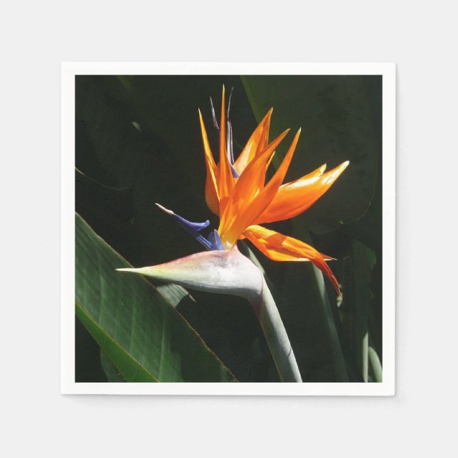Der Vogel der tropischen Blume Orange Serviette (Vorderseite)
