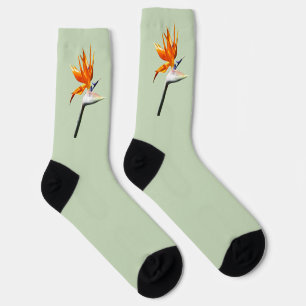 Der Vogel der tropischen Blume Orange Socken