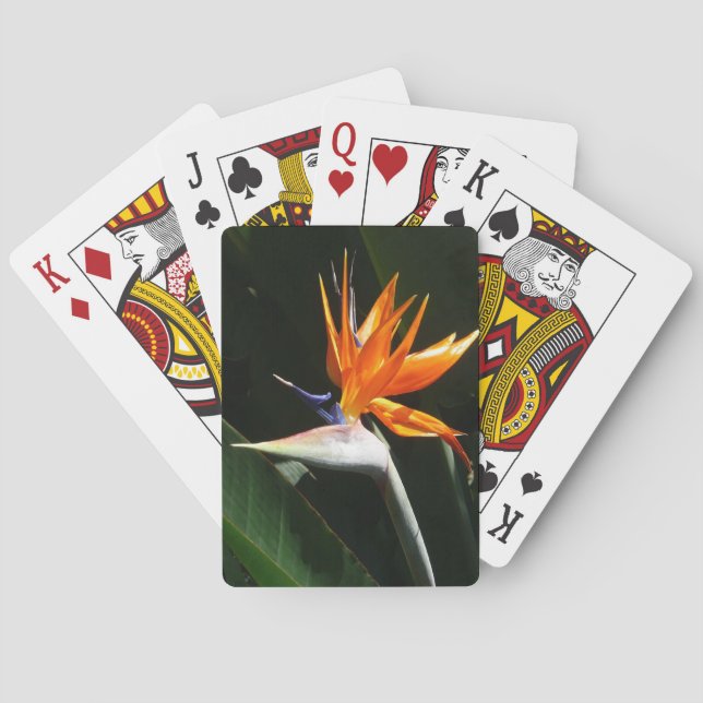 Der Vogel der tropischen Blume Orange Spielkarten (Rückseite)