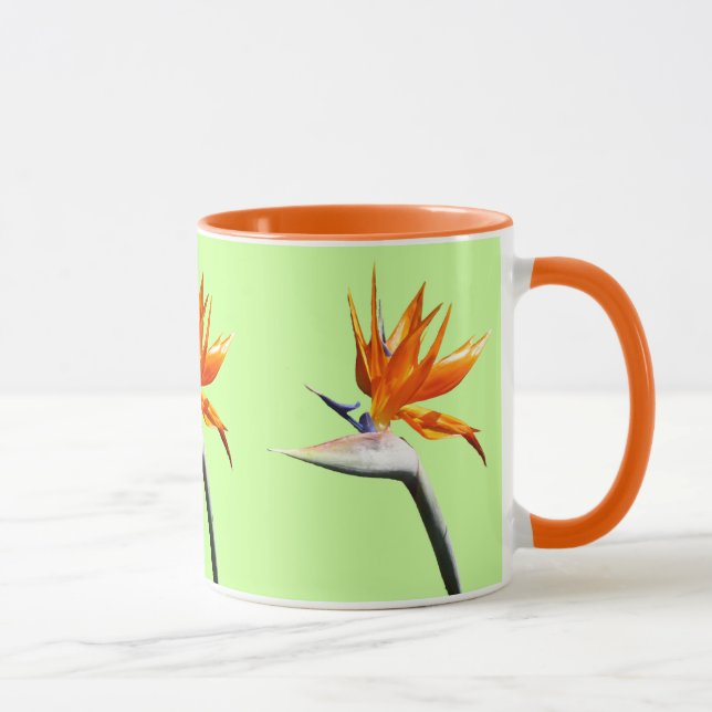 Der Vogel der tropischen Blume Orange Tasse (Rechts)