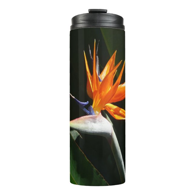 Der Vogel der tropischen Blume Orange Thermosbecher (Vorderseite)