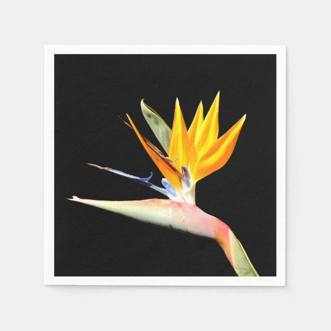 Der Vogel des Paradies Pflanze Papers Napkins Serviette (Vorderseite)