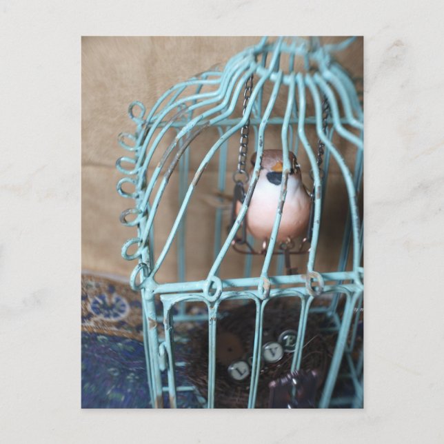 Der Vogel hält den Schlüssel Postkarte (Vorderseite)