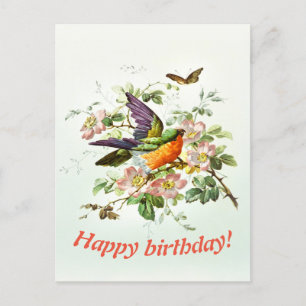 Der Vogel und der Schmetterling, Geburtstag Postkarte