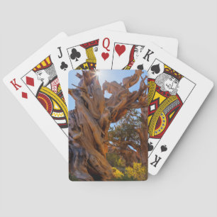 Der Wachposten-Baum Spielkarten