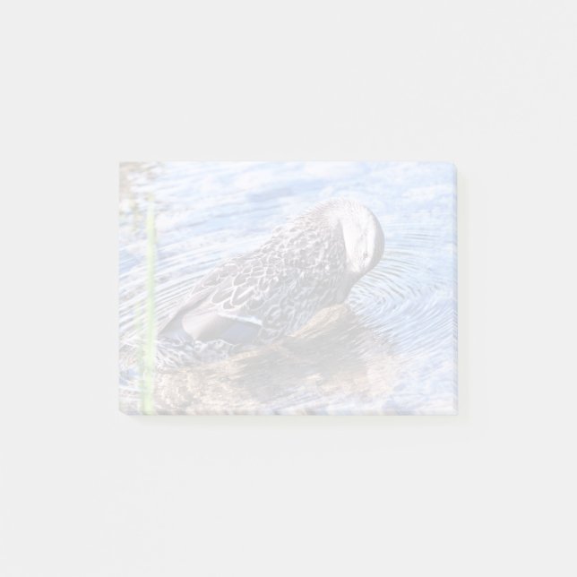 Der wachsende Effekt Post-it Klebezettel (Vorderseite)