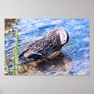 Der wachsende Effekt Poster