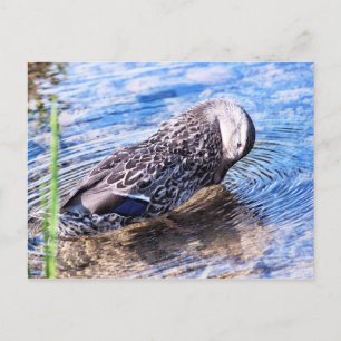 Der wachsende Effekt Postkarte