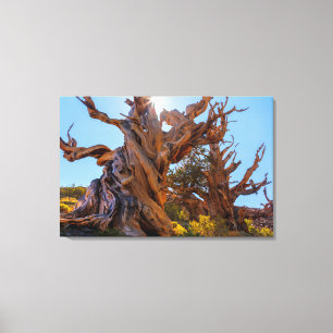 Der Wächterbaum Leinwanddruck