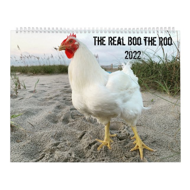 Der wahre Boo des Roo 2022-Kalenders Kalender (Titelbild)