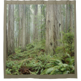 DER WALD DUSCHVORHANG