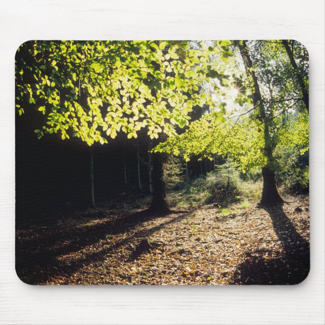 Der Wald im Frühling Mousepad (Vorne)