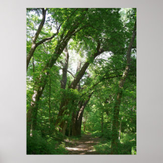 Der Wald Poster