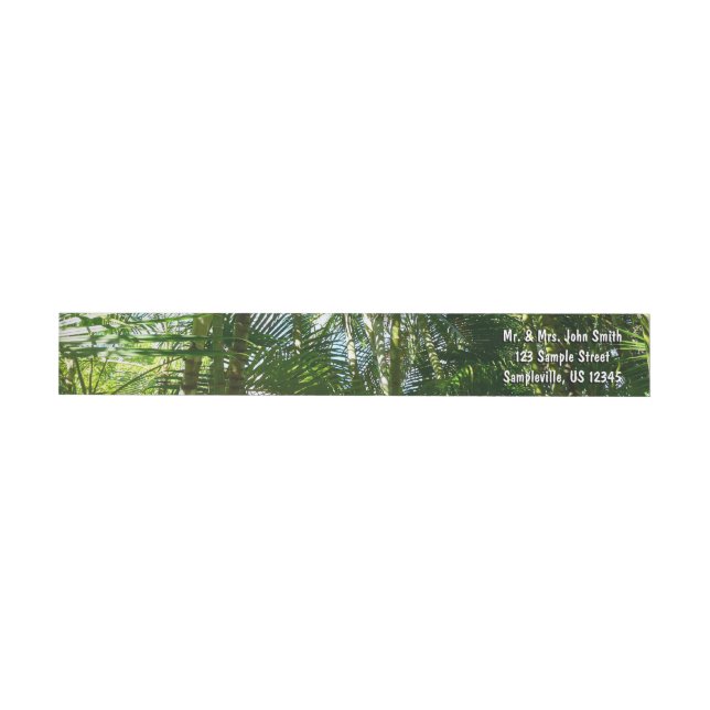 Der Wald von Palmen tropische Natur (Person)
