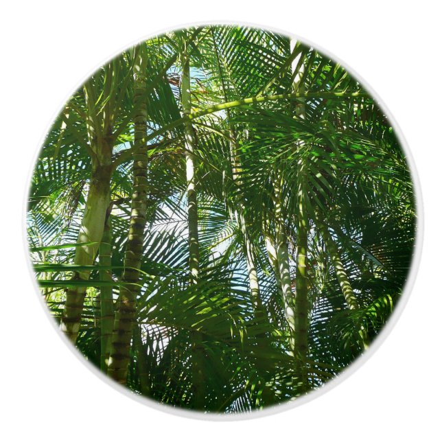 Der Wald von Palmen tropische Natur Keramikknauf (Vorderseite)