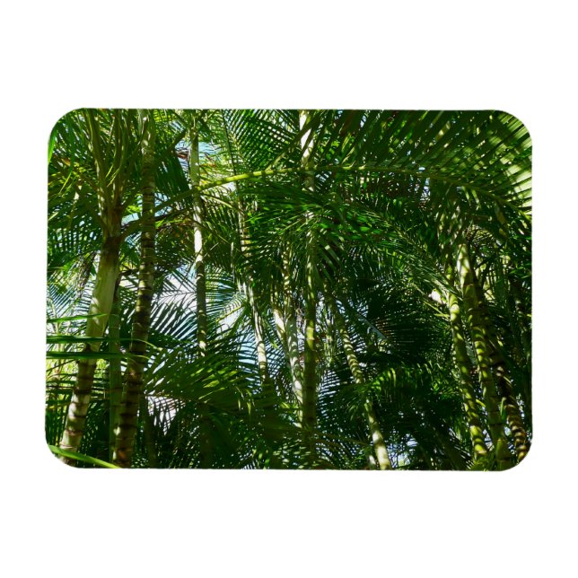 Der Wald von Palmen tropische Natur Magnet (Horizontal)
