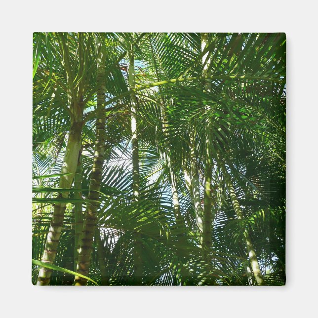 Der Wald von Palmen tropische Natur Magnet (Vorne)