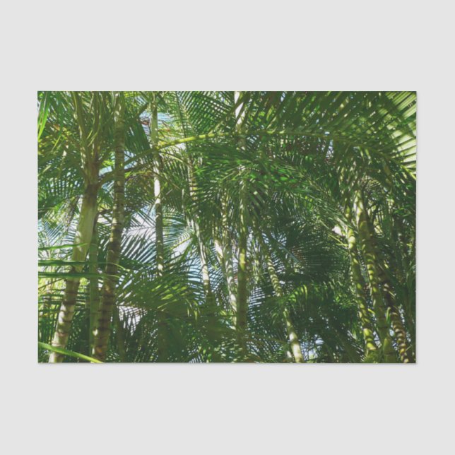 Der Wald von Palmen tropische Natur Seidenpapier (Vorderseite)
