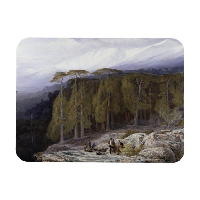 Der Wald von Valdoniello, Korsika, 1869 (Öl auf c Magnet (Horizontal)