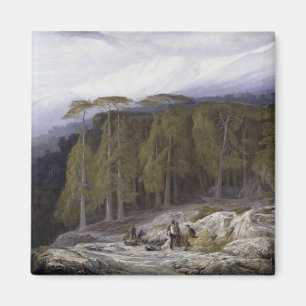Der Wald von Valdoniello, Korsika, 1869 (Öl auf c Magnet