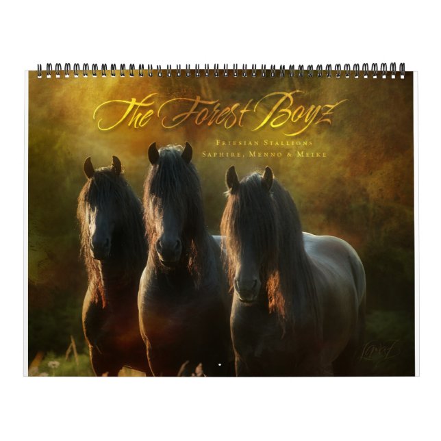 Der Waldboyz - Verheißenes Land Kalender (Titelbild)