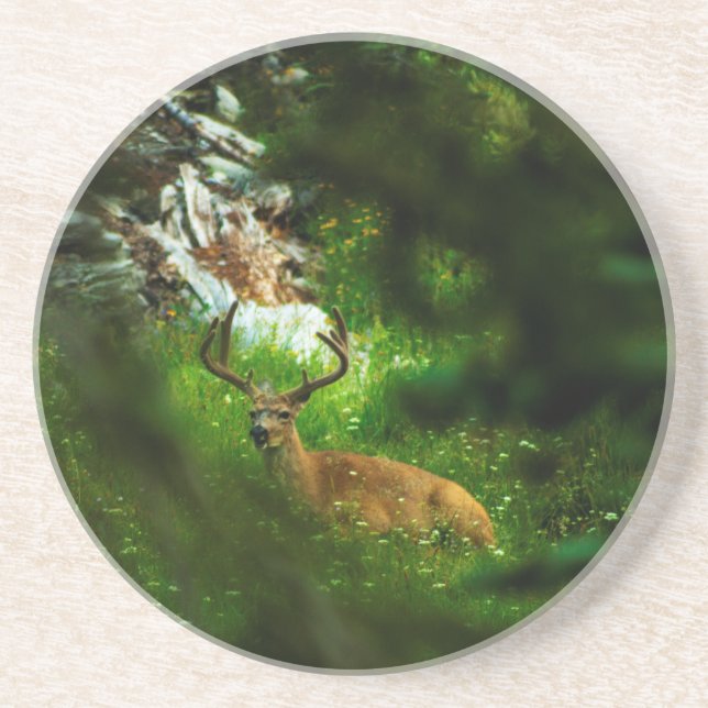 Der Waldfürst Getränkeuntersetzer (Vorne)