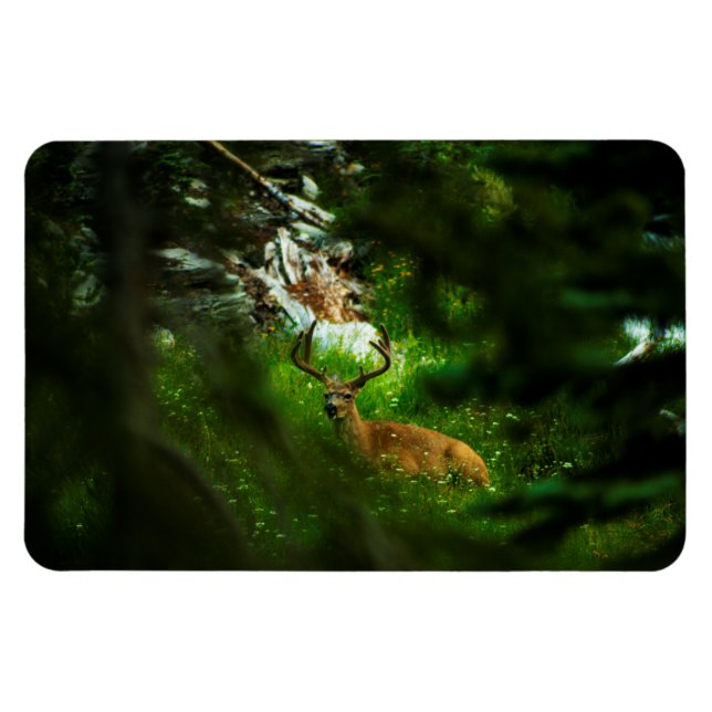 Der Waldfürst Magnet (Horizontal)