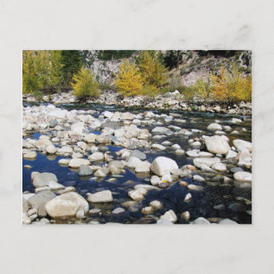 Der Walker River im Herbst Postkarte