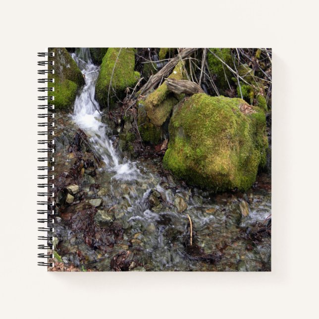 Der Wasserfall der Fee.... Notizbuch (Vorderseite)
