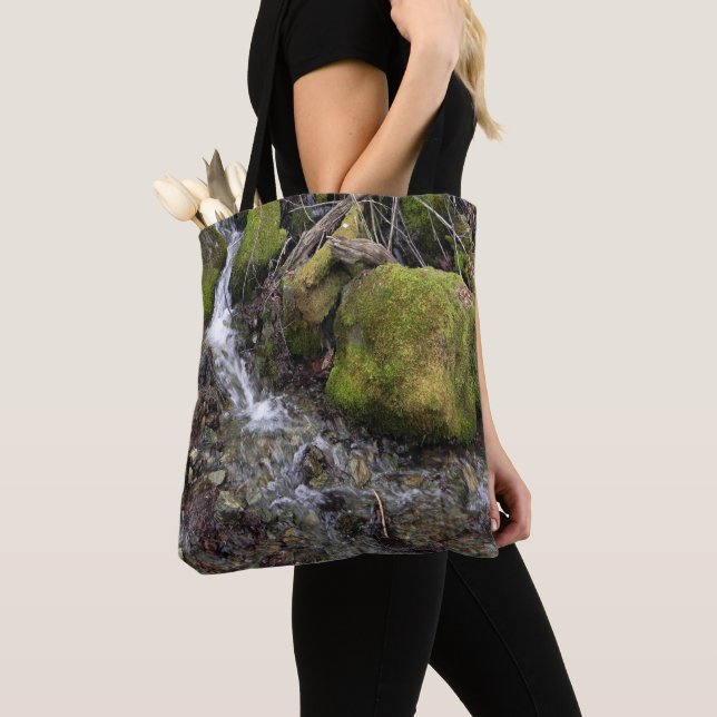 Der Wasserfall der Fee.... Tasche (Von Nahem)