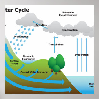 Der Wasserkreislauf Poster