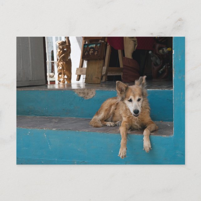 Der Watchdog. Postkarte (Vorderseite)