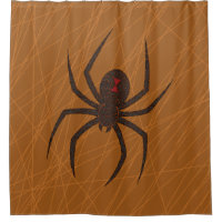 Der Webduschvorhang der Spinne