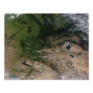 Der Wechsel der Vegetation Fotodruck