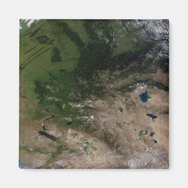 Der Wechsel der Vegetation Magnet (Vorne)