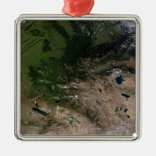 Der Wechsel der Vegetation Silbernes Ornament (Vorne)