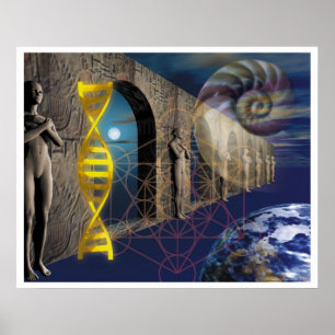 Der Weg der Evolution Poster