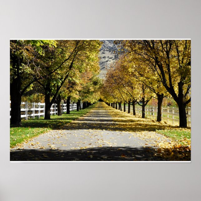 Der Weg der Farben Poster (Vorne)