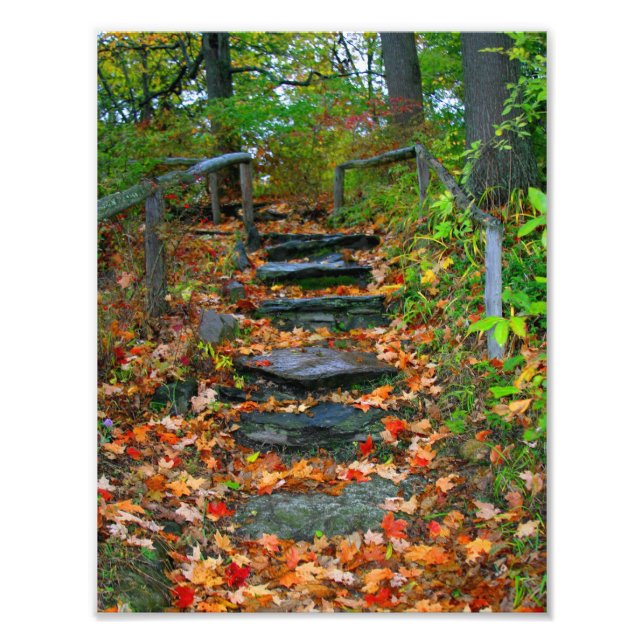 Der Weg Fotodruck (Vorne)