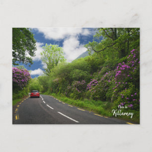 Der Weg nach Killarney - Irland Postkarte