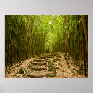 Der Weg Poster