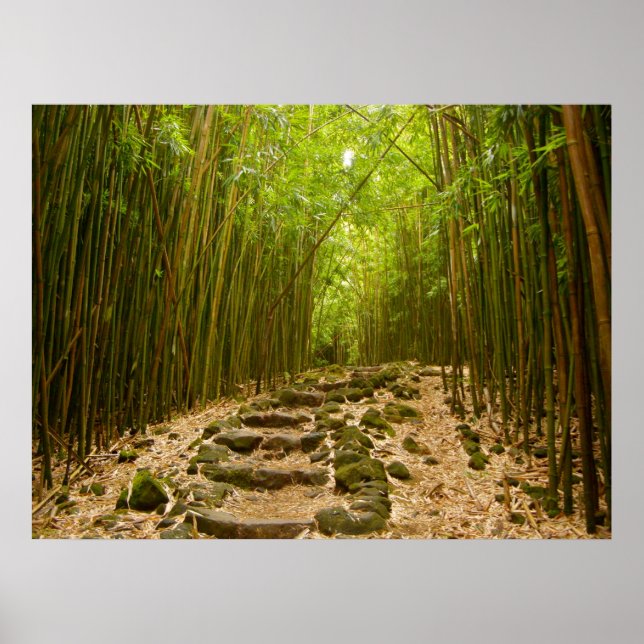 Der Weg Poster (Vorne)