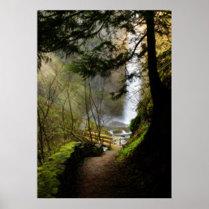 Der Weg zu Latourell Falls Poster
