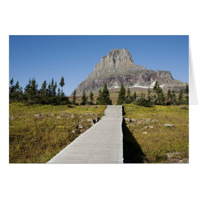 Der Weg zum Ausblick auf den Hidden Lake (Vorderseite (Horizontal))
