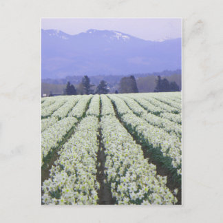 Der Weg zum Paradies Postkarte