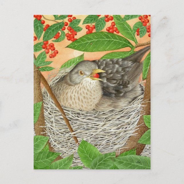 Der weibliche Blackbird Postkarte (Vorderseite)