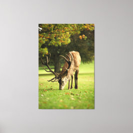 Der Weidestag Leinwanddruck