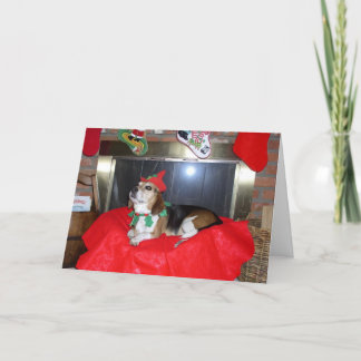 Der Weihnachtself des Beagle Feiertagskarte