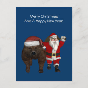Der Weihnachtsmann reitet einen Bär Feiertagspostkarte